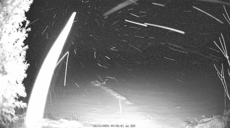Image from 2024-12-11
