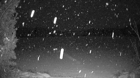 Image from 2024-12-11