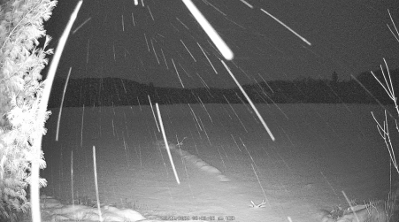 Image from 2024-12-11