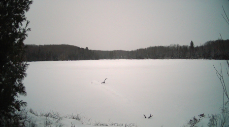 Image from 2024-12-11
