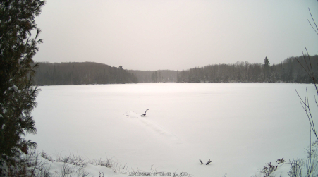 Image from 2024-12-11