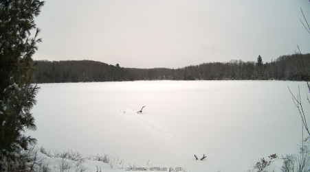 Image from 2024-12-11