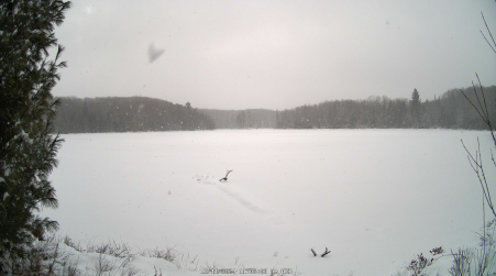 Image from 2024-12-11