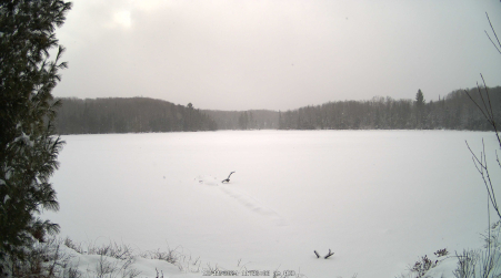 Image from 2024-12-11