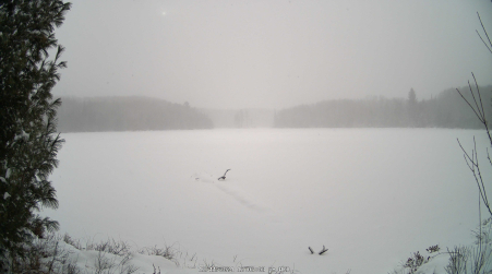 Image from 2024-12-11