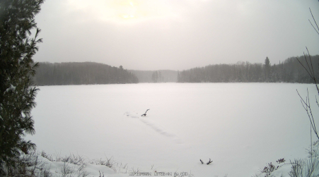 Image from 2024-12-11