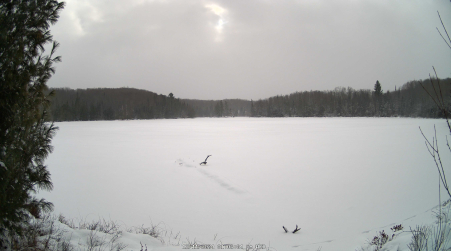 Image from 2024-12-11