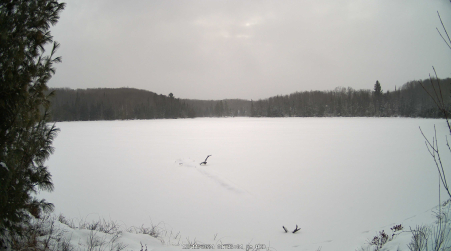 Image from 2024-12-11