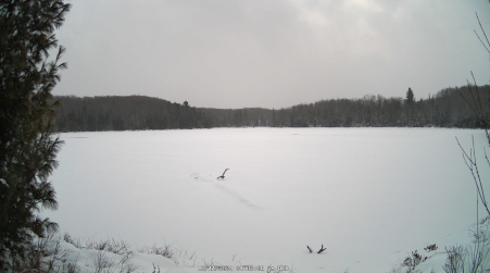 Image from 2024-12-11