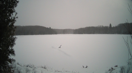 Image from 2024-12-11