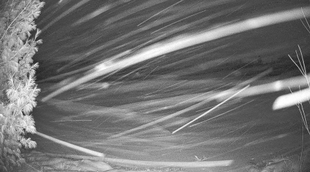 Image from 2024-12-11