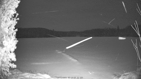 Image from 2024-12-11