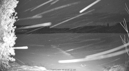 Image from 2024-12-11