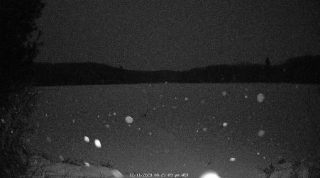 Image from 2024-12-11
