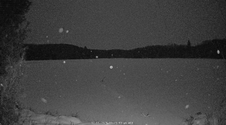 Image from 2024-12-11
