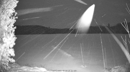 Image from 2024-12-11