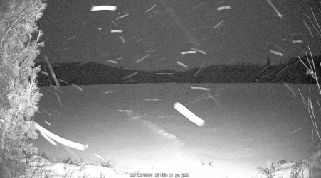 Image from 2024-12-11
