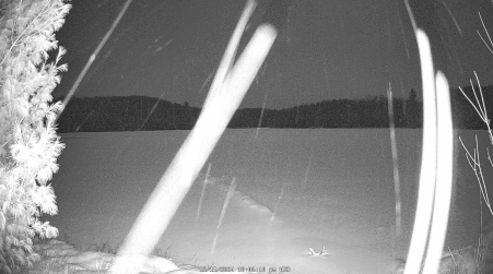 Image from 2024-12-11