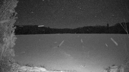 Image from 2024-12-11