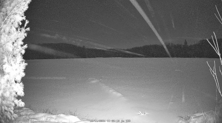 Image from 2024-12-11