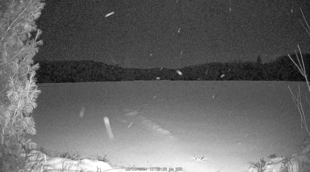 Image from 2024-12-11
