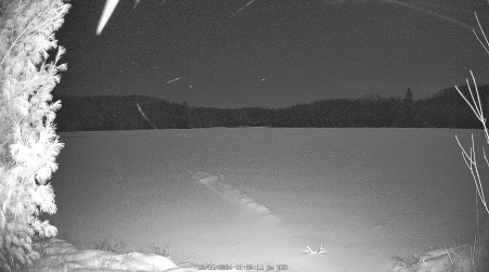 Image from 2024-12-11