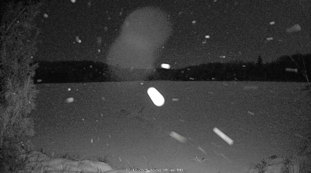 Image from 2024-12-12