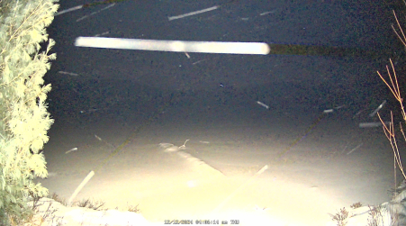 Image from 2024-12-12