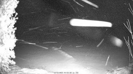 Image from 2024-12-12