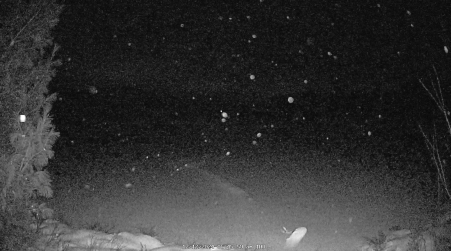 Image from 2024-12-12