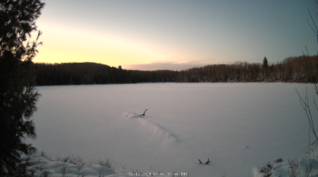 Image from 2024-12-12
