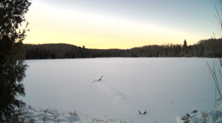 Image from 2024-12-12