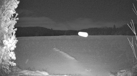 Image from 2024-12-12