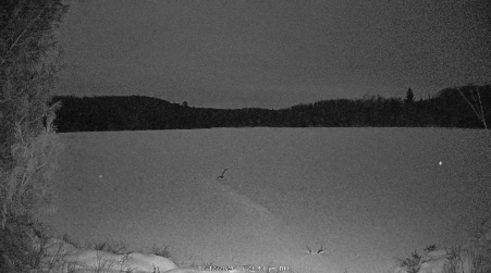 Image from 2024-12-12