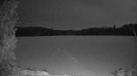 Image from 2024-12-13