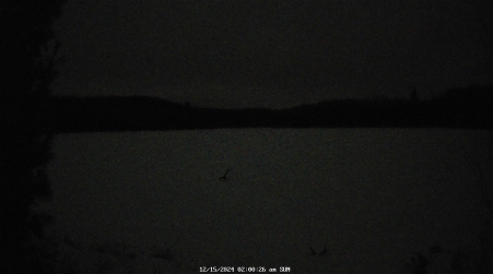 Image from 2024-12-15