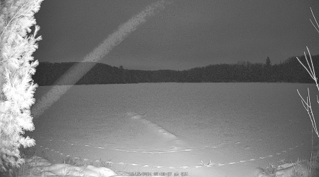 Image from 2024-12-15