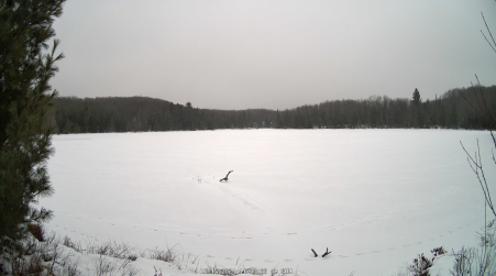 Image from 2024-12-15
