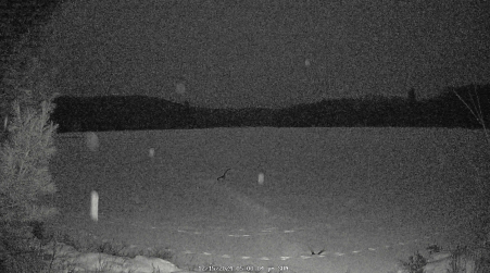 Image from 2024-12-15