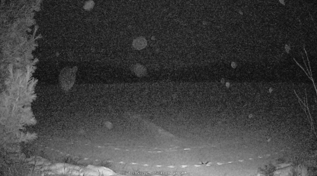 Image from 2024-12-15