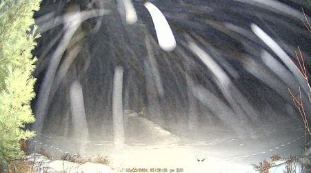 Image from 2024-12-15