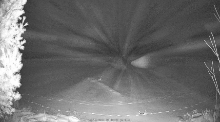 Image from 2024-12-15