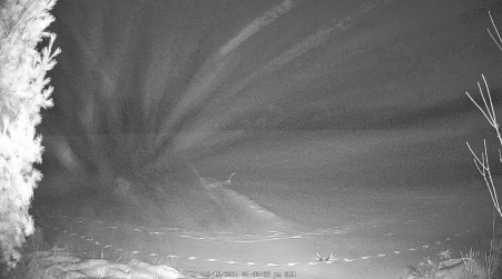 Image from 2024-12-15