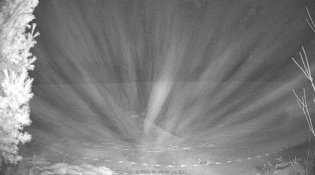 Image from 2024-12-15