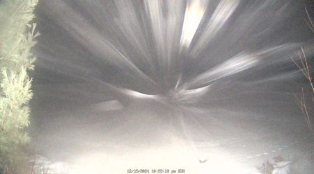 Image from 2024-12-15