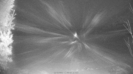 Image from 2024-12-15