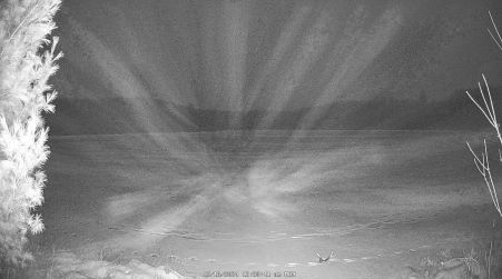 Image from 2024-12-16