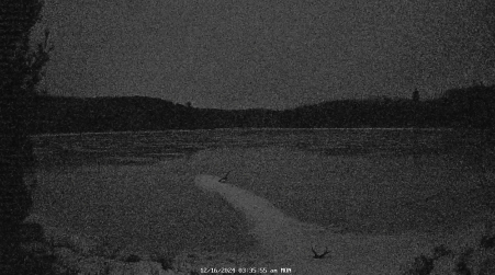Image from 2024-12-16