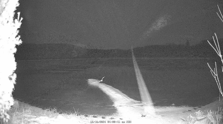Image from 2024-12-16