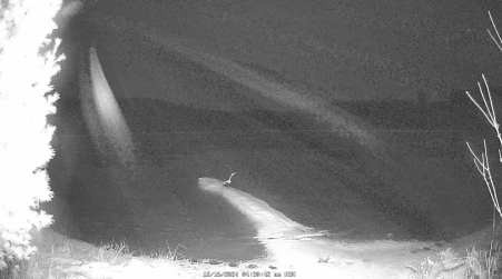 Image from 2024-12-16